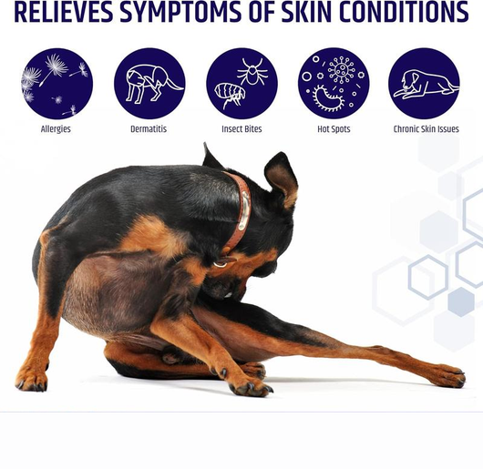 Hydrocortisone Itch Spray